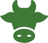 Cattle